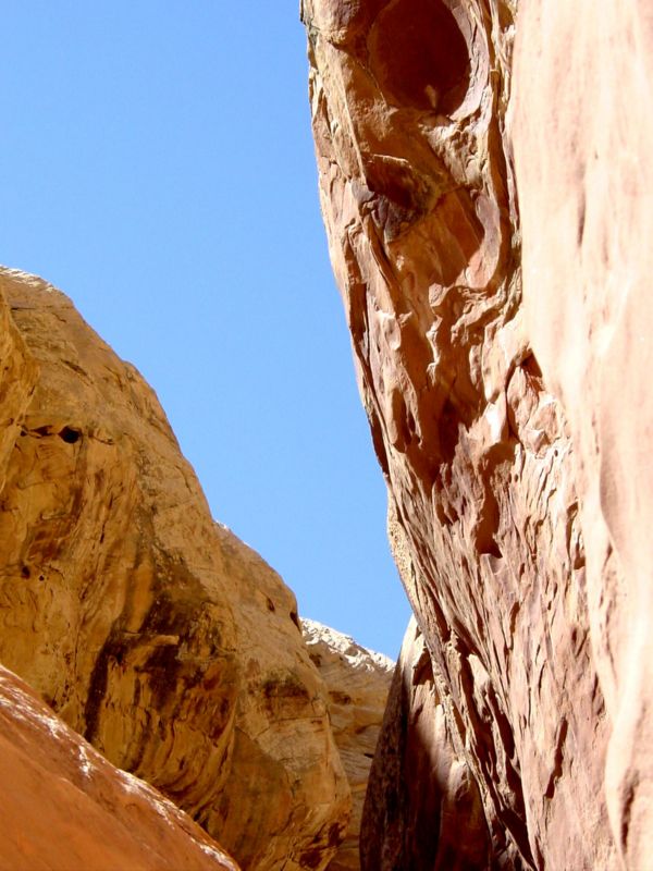 04160302LittleWildHorse (1042)